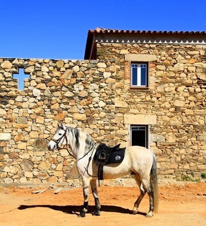 Couto Dos Pardinhos Villa Monforte da Beira Exterior photo