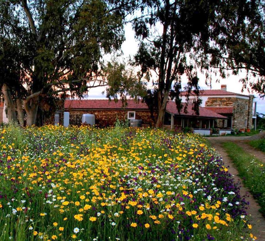 Couto Dos Pardinhos Villa Monforte da Beira Exterior photo