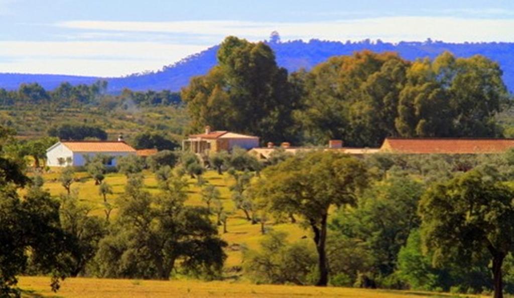 Couto Dos Pardinhos Villa Monforte da Beira Exterior photo